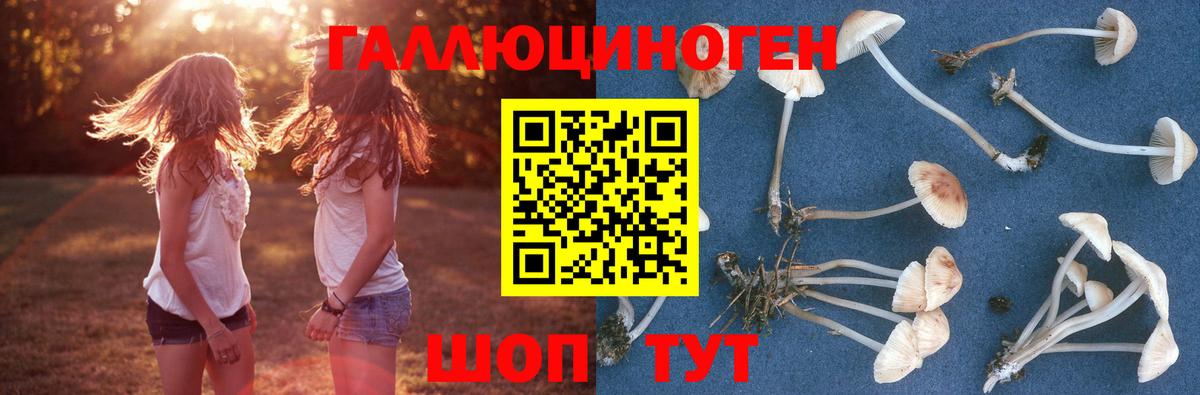 Псилоцибиновые грибы ЛСД  Рязань  наркотики  Галлюциногенные грибы MAGIC MUSHROOMS 